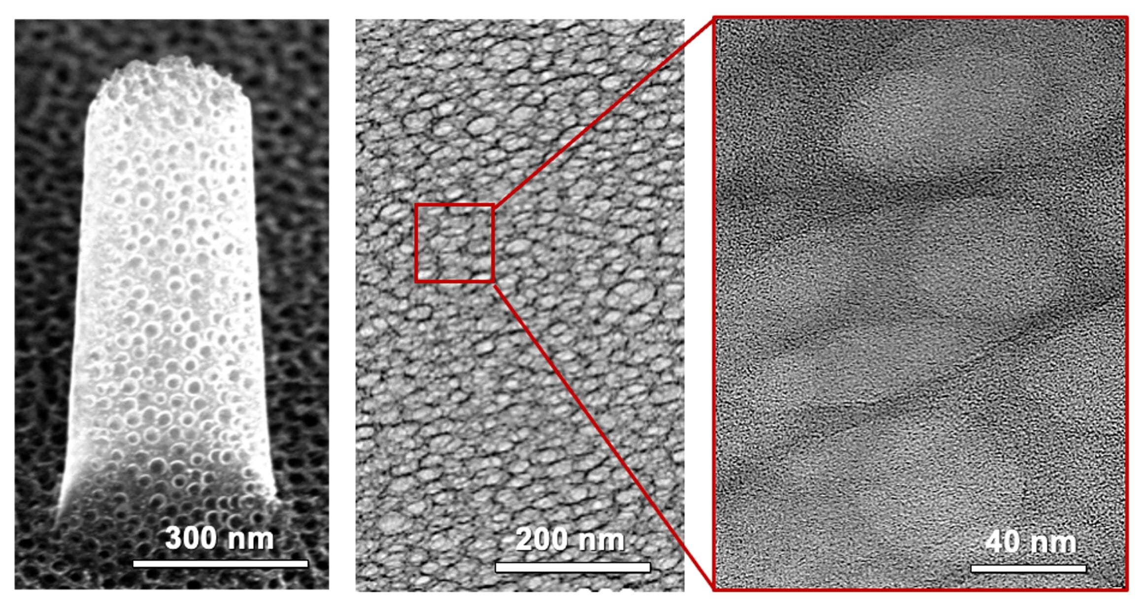 Nanoporous carbon nanopillar